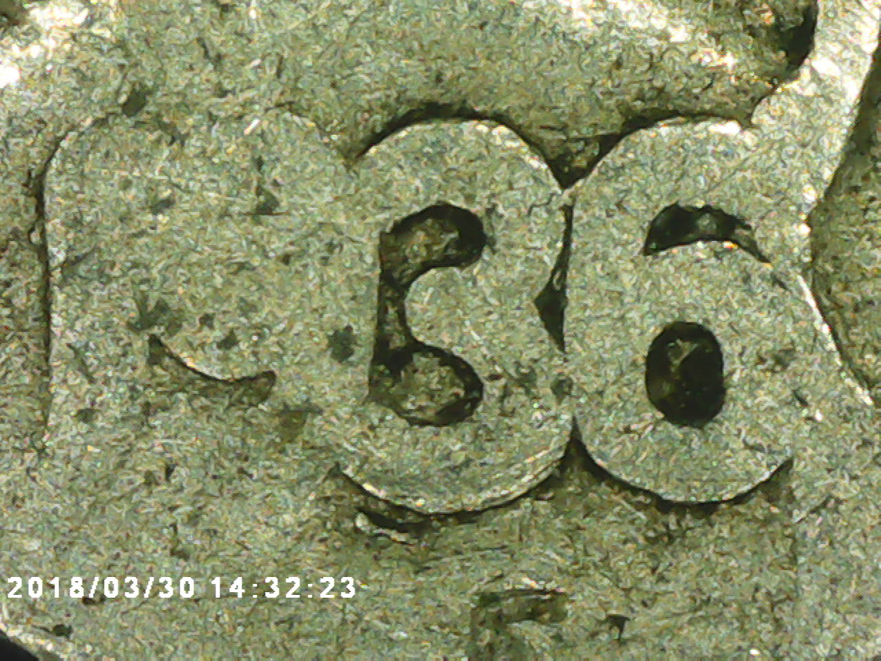 1936-Buffalo-DDO-FS-101?