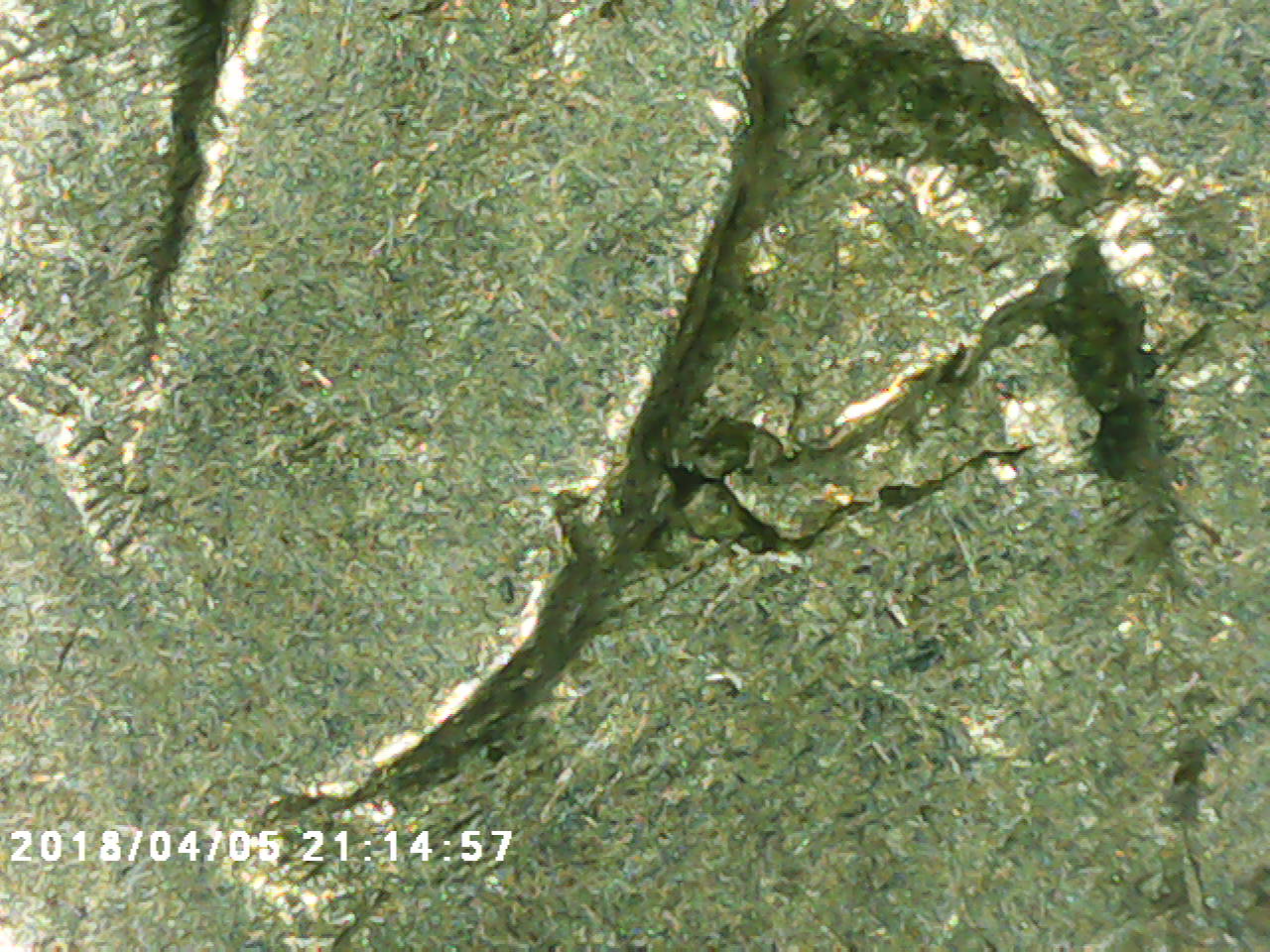 1916-DDO-Buffalo-Confirmation?