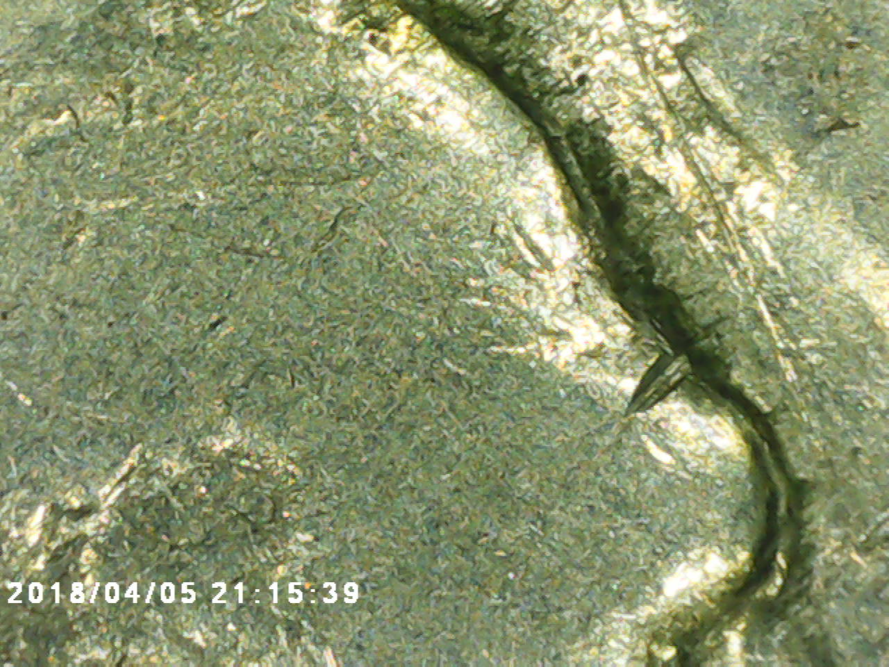 1916-DDO-Buffalo-Confirmation?
