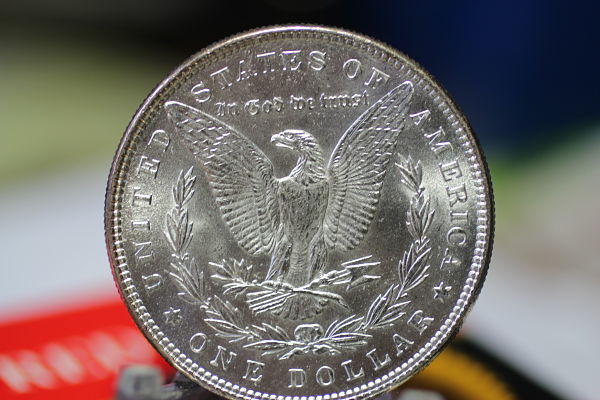 Tag-Sale-Find.-Morgan-For-Grading.