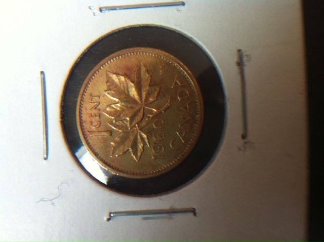Magnified-Picture-Of-The-