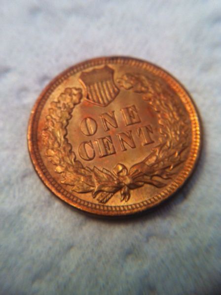 Need-Help-Grading-American-1906-Indian-Head