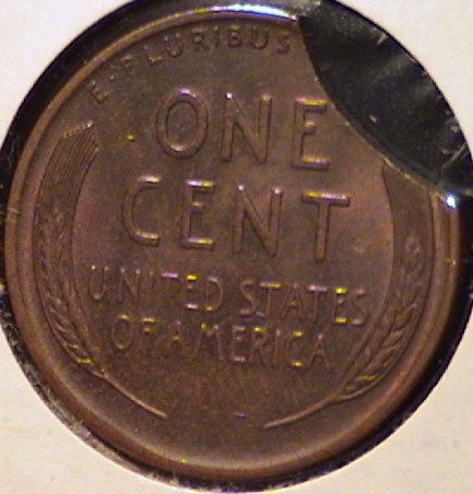 194x-Clipped-Wheat-MS?