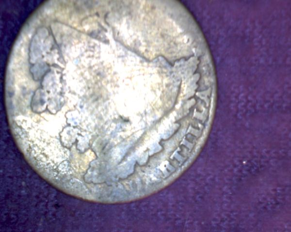 I-Think-It-Is-From-Mexico