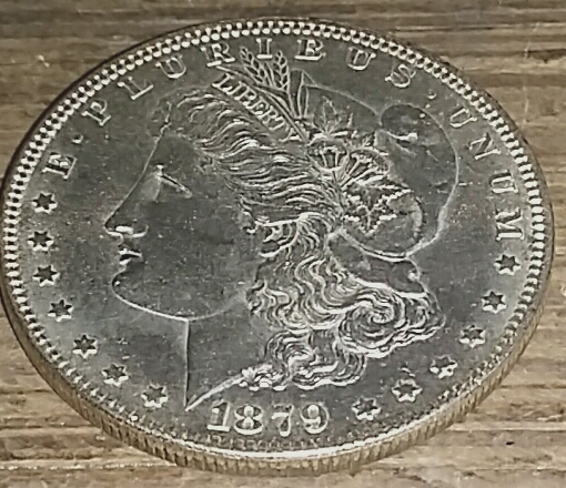 1879-Morgan-For-Grading