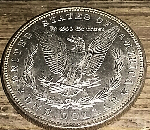 1879-Morgan-For-Grading