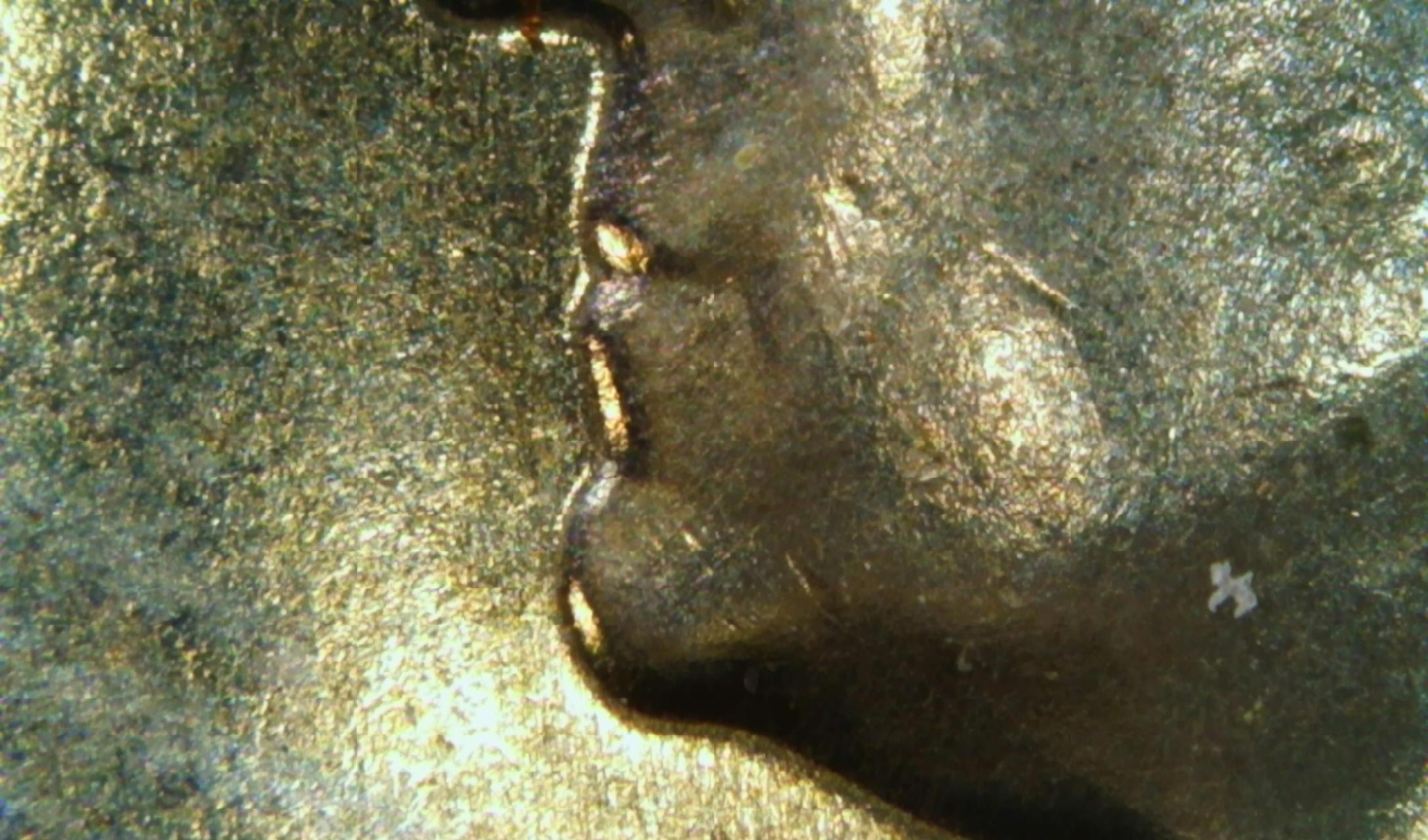1976-Bicentenial-Quarter-Possible-DDO?