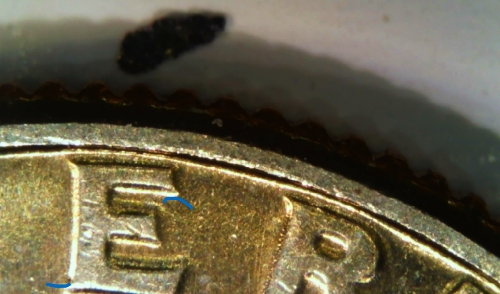 1976-Bicentenial-Quarter-Possible-DDO?