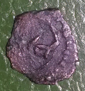 Unidentified-Coin-#2---Norman-Sicily?-Tiny