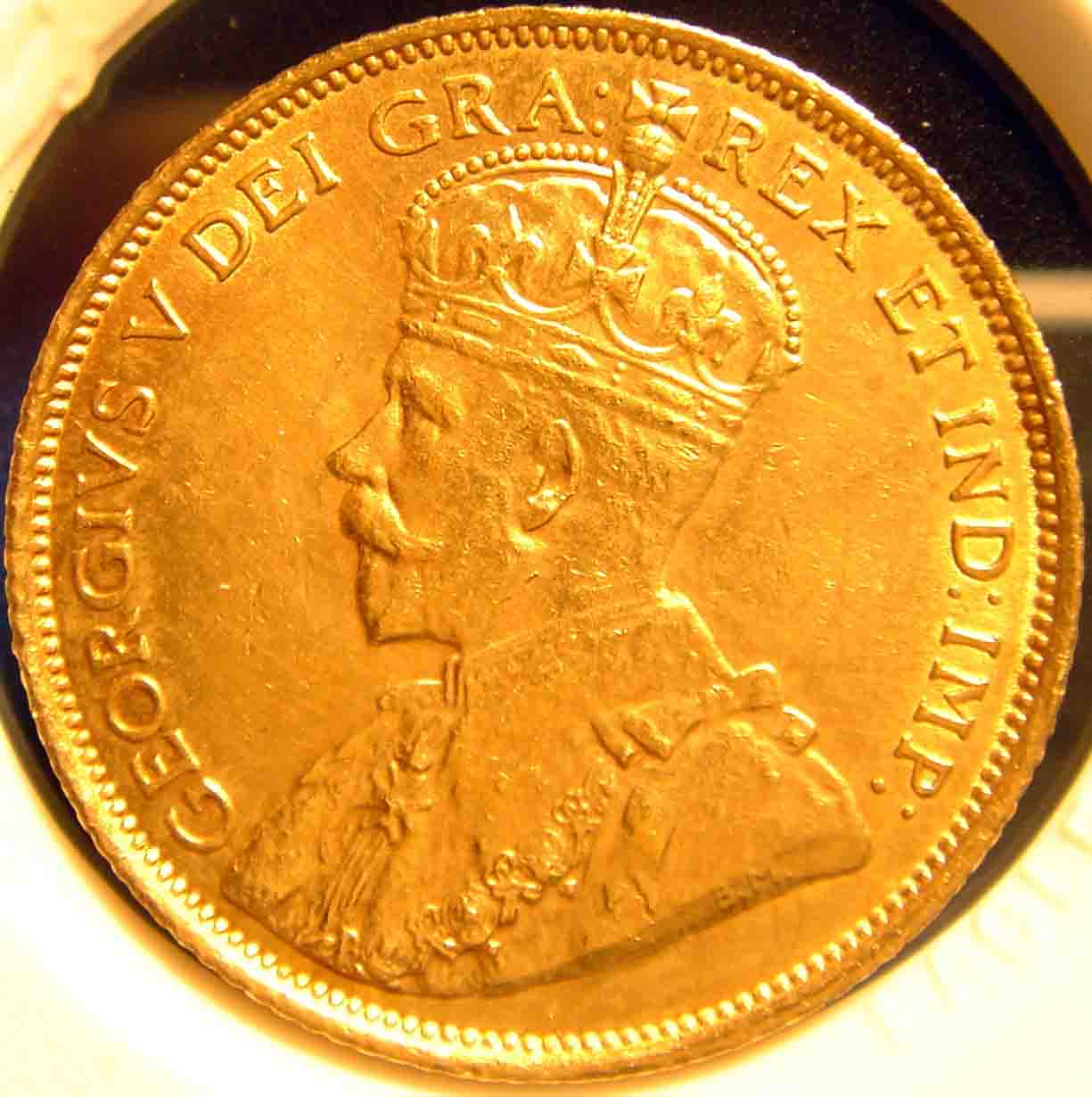 Canadian-Gold-Hunt