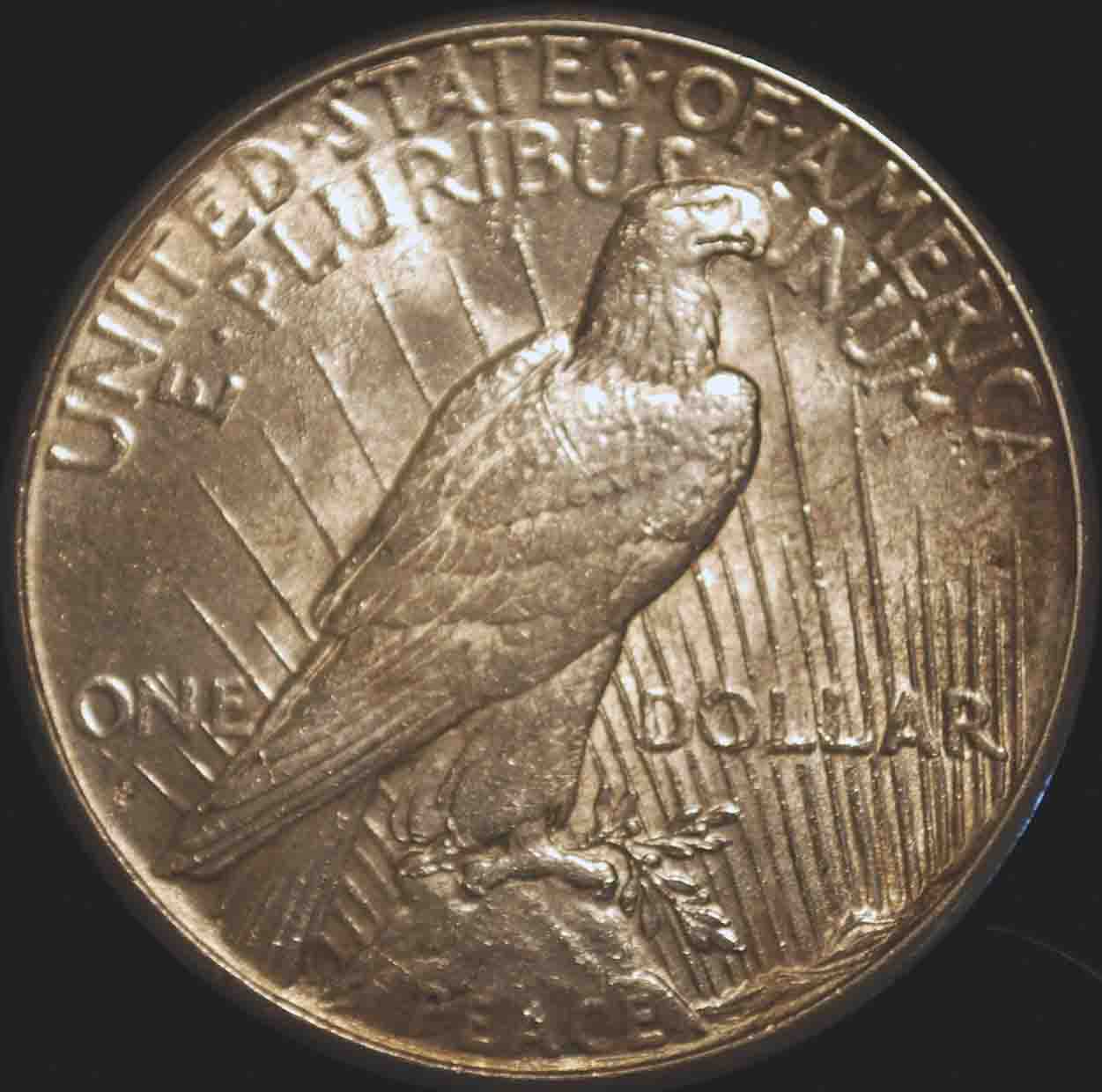 1928-S-Peace-Dollar:--Grade-Opinions?