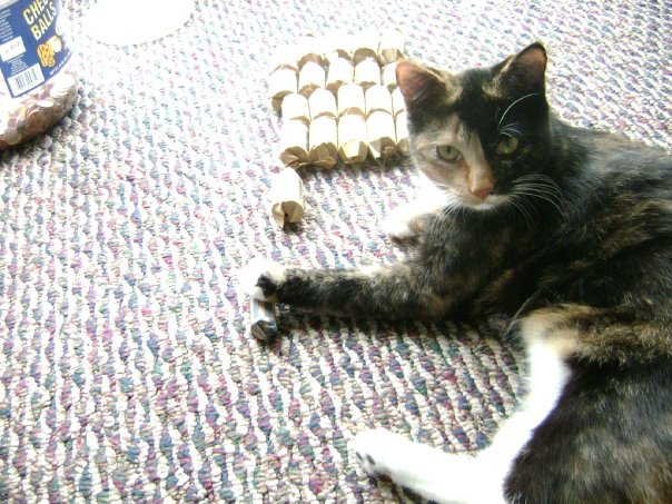 Cat-Likes-To-Roll-Hunt