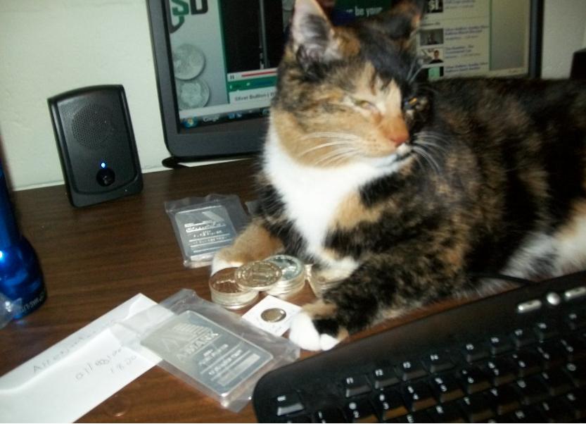 Cat-Likes-To-Roll-Hunt