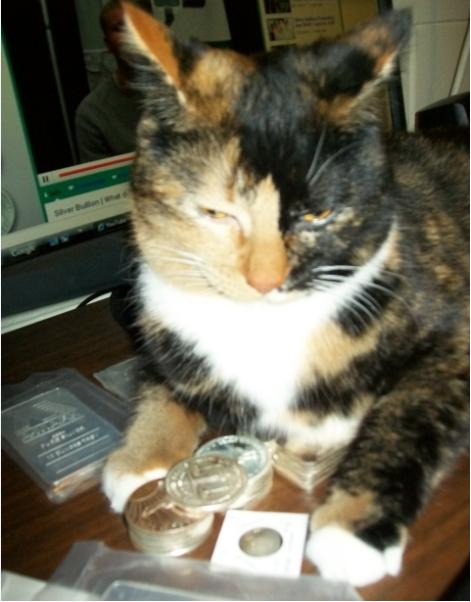 Cat-Likes-To-Roll-Hunt