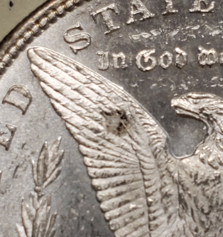 1879-S-Morgan-Dollar---Keep-It-Or-Not?