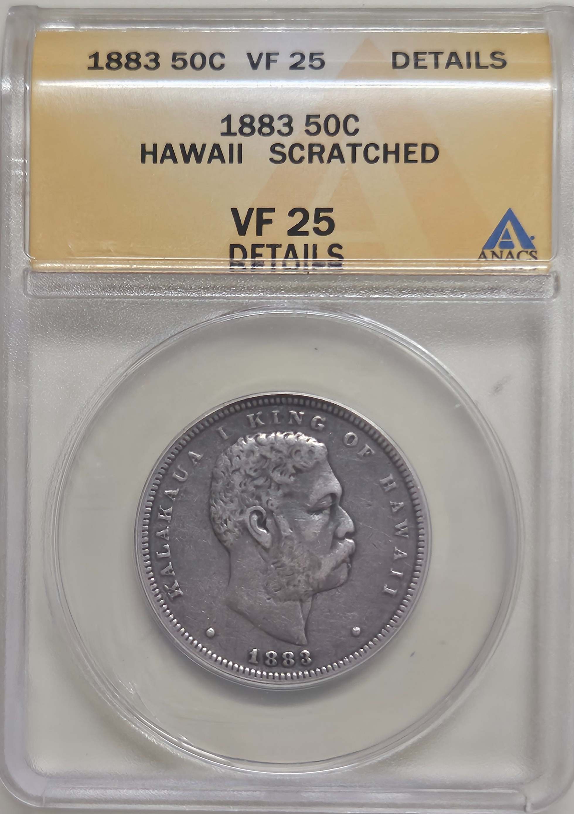 Continuing-List-To-Show-Everyones-Latest-Acquisitions