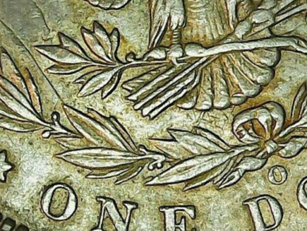1891-O-Morgan-Dollar-Thoughts-Looks-Strange-To-Me