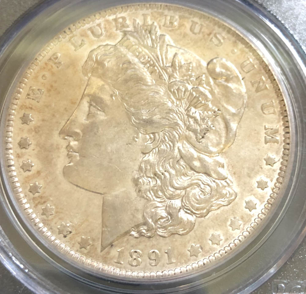 1891-Morgan-Dollar:-O-E-Clash-VAM-1A-Thoughts