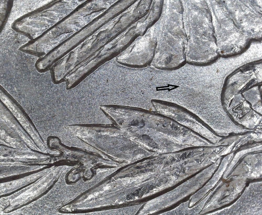 1883-O-Morgan-Possible-VAM-36-Or-36A