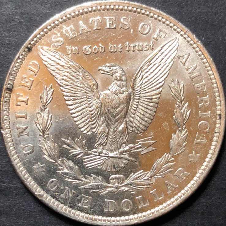 1921-Morgan-Prooflike-With-What-Looks-Like-Sulfur-Spots
