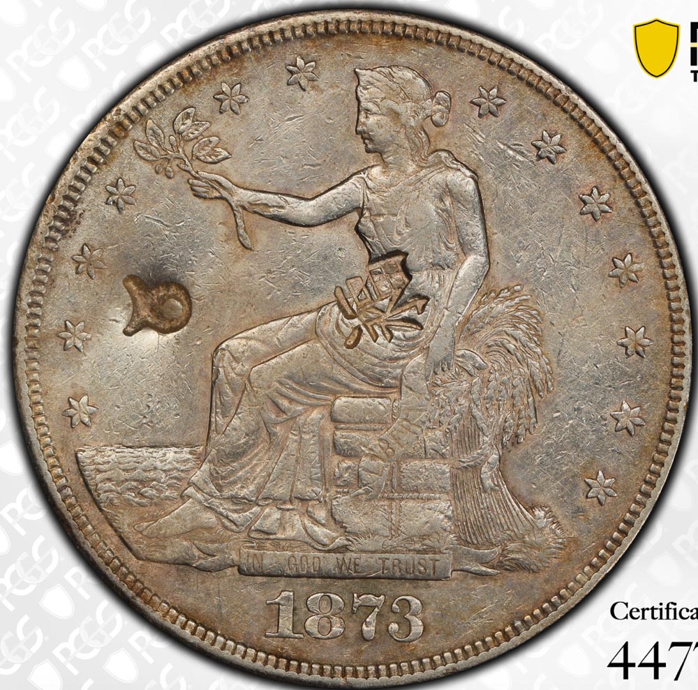 1873-CC-Chopmarked-And-Environmental-Damage