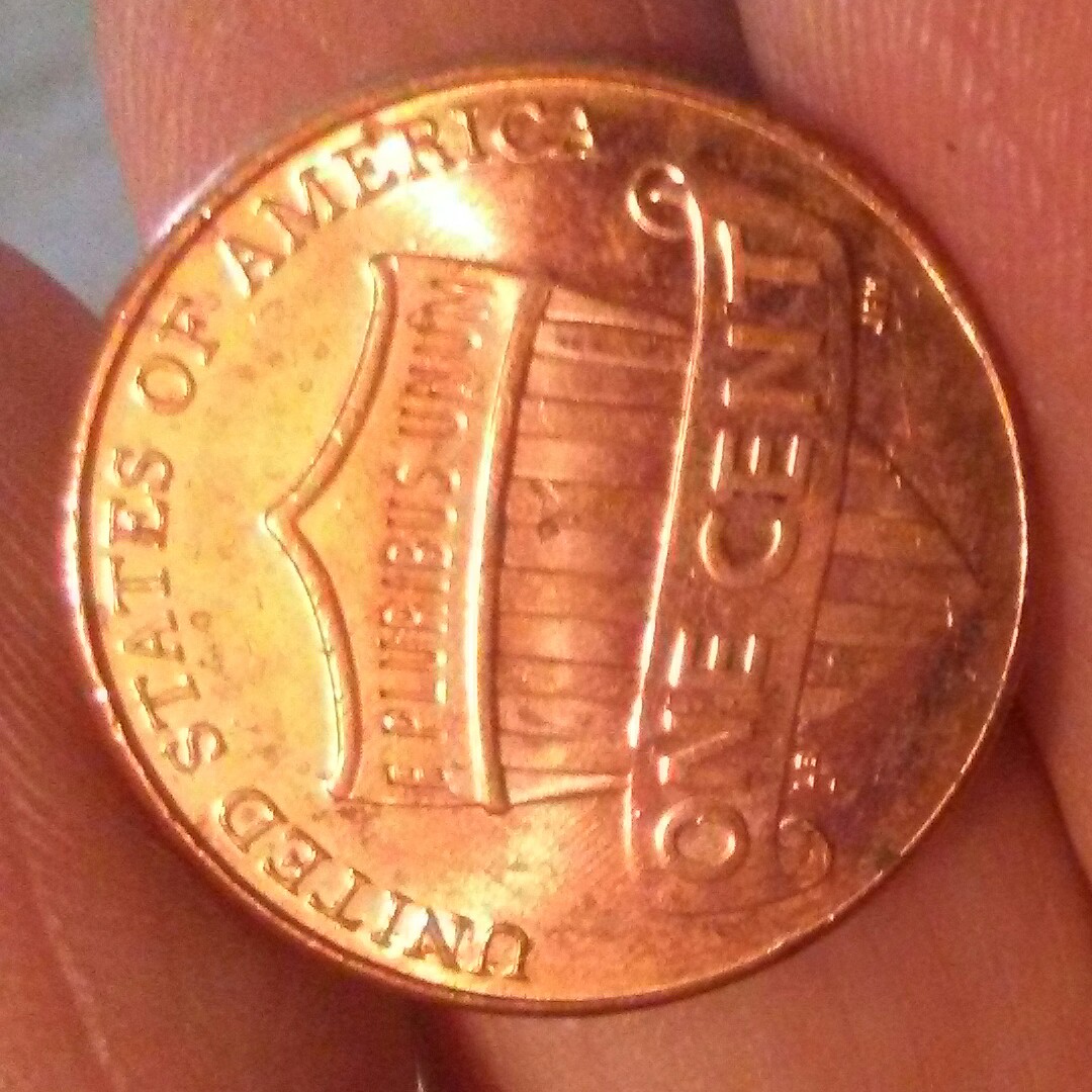 Is-This-An-Example-Of-A-Woody?