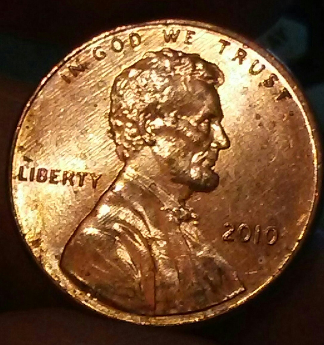 Is-This-An-Example-Of-A-Woody?