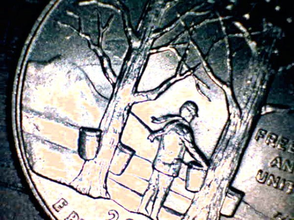 2001-P-Vermont-State-Quarter-Reverse-Question