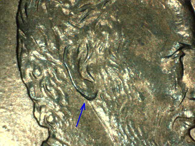 New-Doubled-Ear,-A-Hit,-Or-MD?