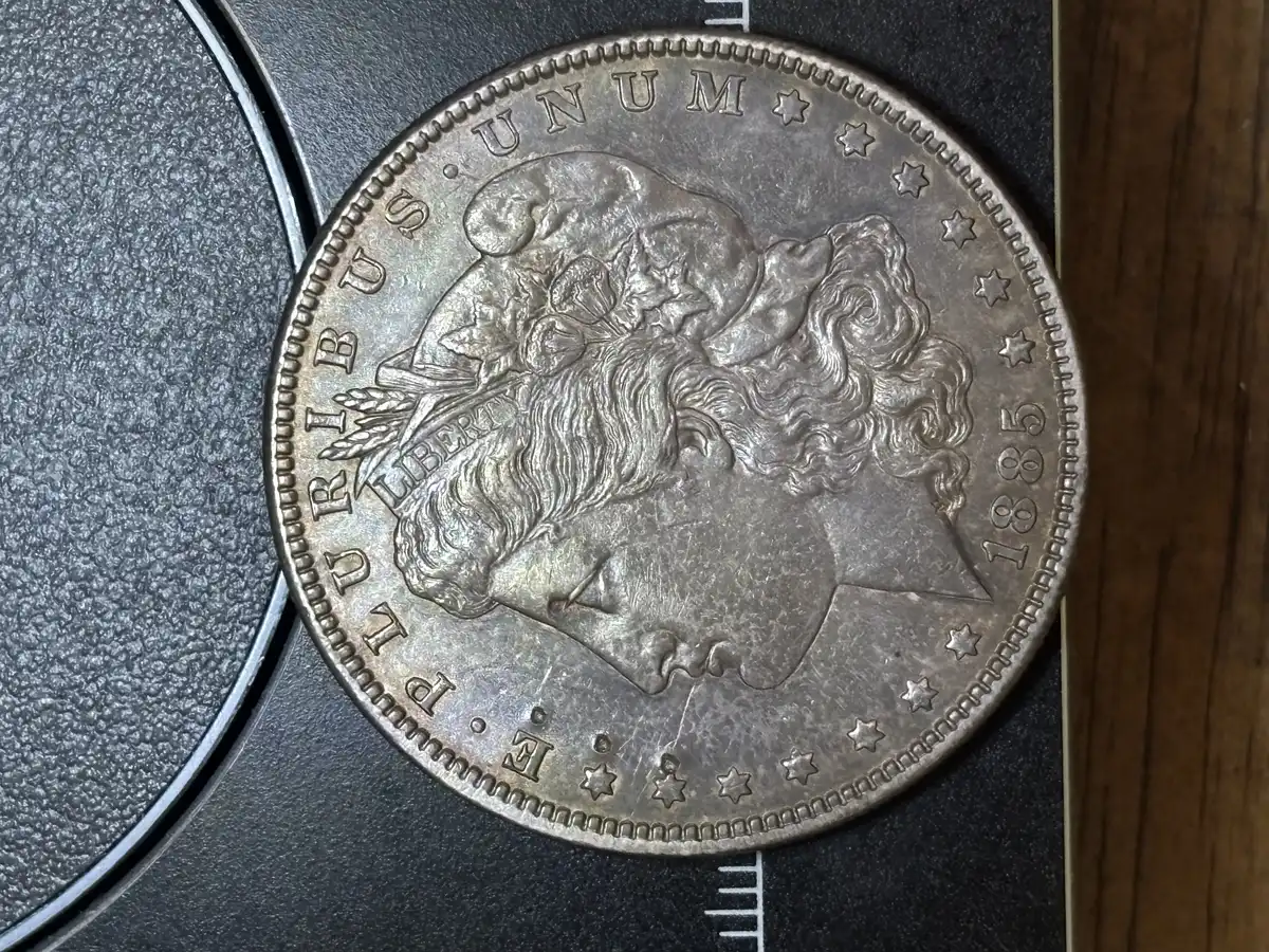 1885-Morgan-VAM-Or-Not?