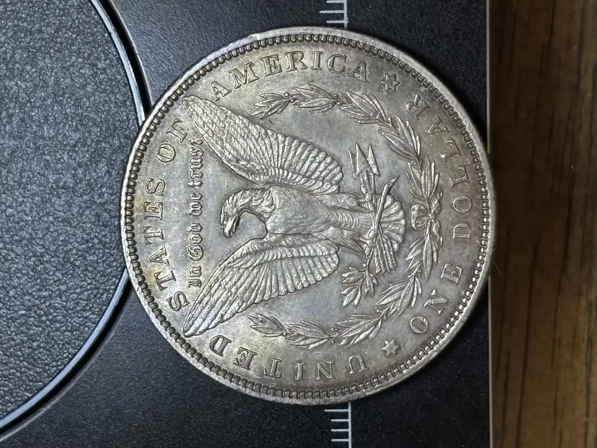1885-Morgan-VAM-Or-Not?
