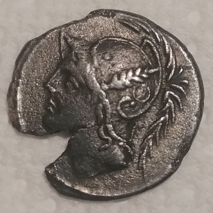 Denarius---Authenticity