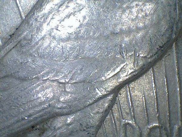 1922-Peace-Dollar-For-Gradeing