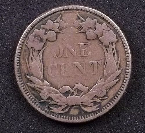 Continuing-List-To-Show-Everyones-Latest-Acquisitions