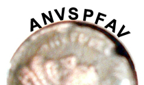 Roman-Coin-ID