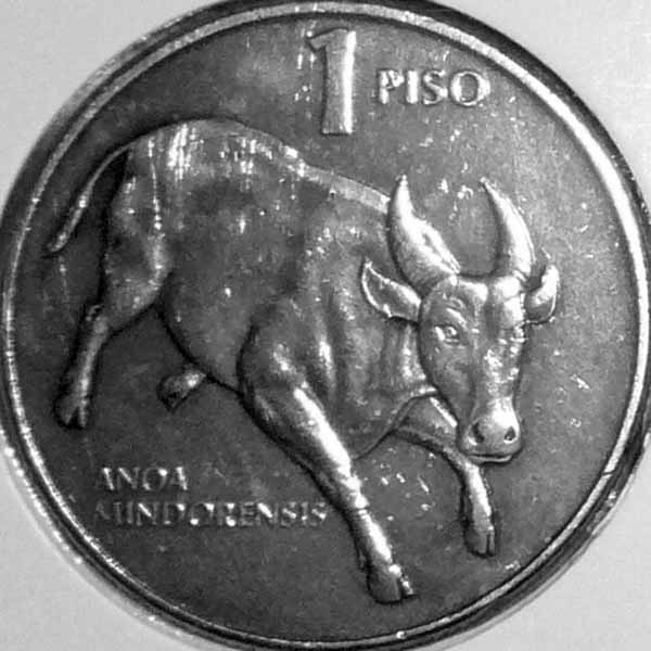 Philippine-Tamaraw-Piso