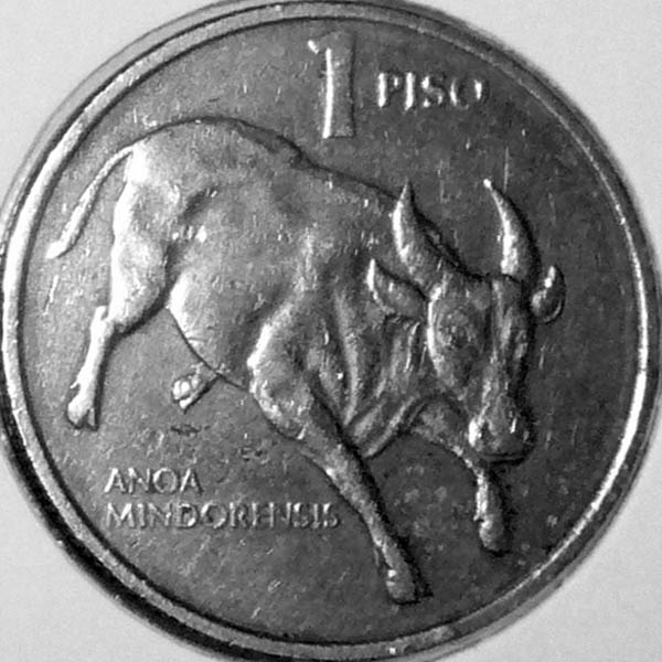 Philippine-Tamaraw-Piso