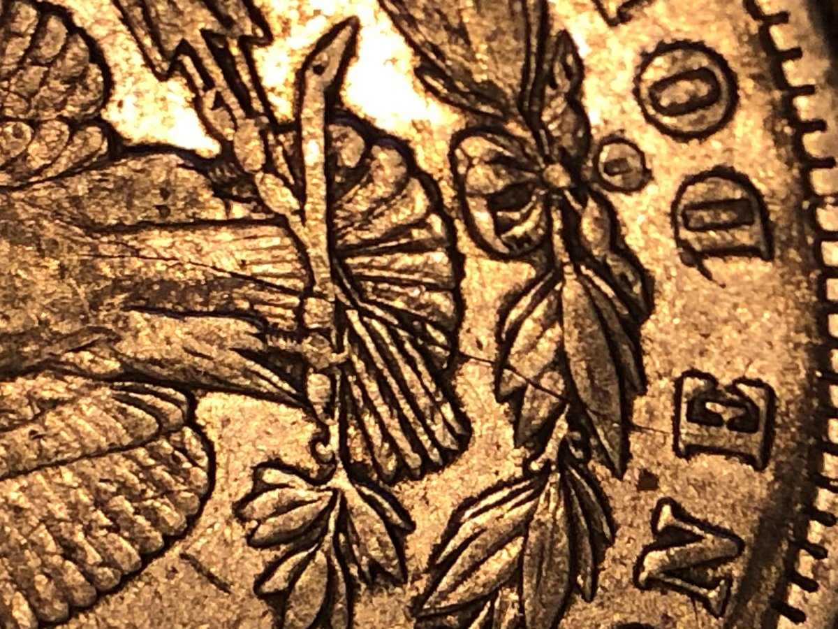 1900-O-Morgan-Silver-Dollar-Crack