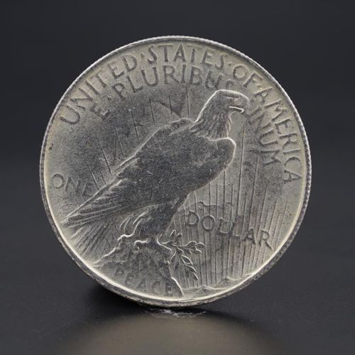 1928-Peace-Dollars,-On-Ebay.-These-Are-Fake-I'm�sure.