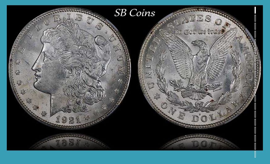 My-Cracky-21-D-Morgan-Dollars---Just-For-Fun...