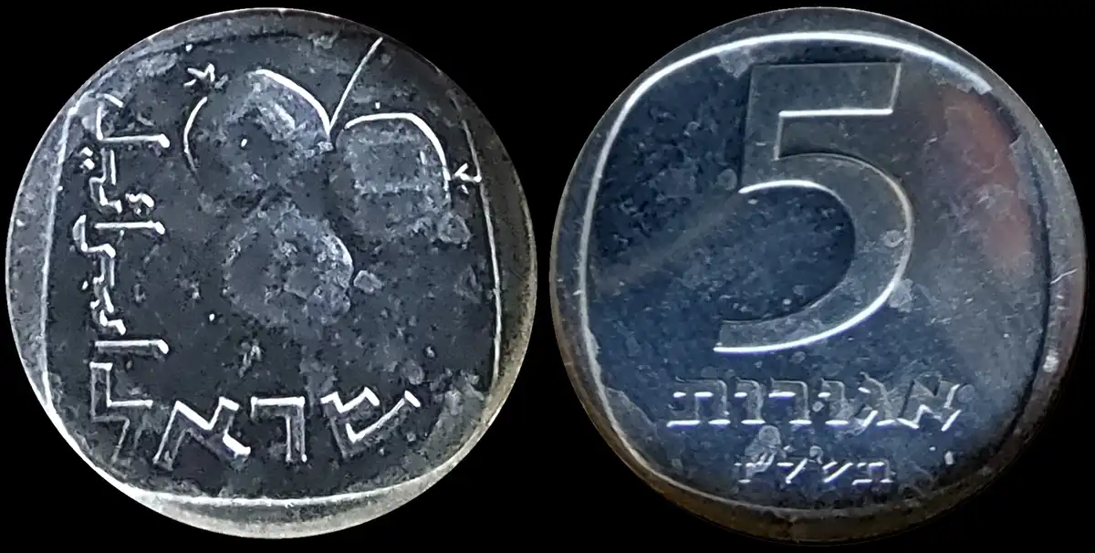 Show-Your-Coins-With-Fruit.