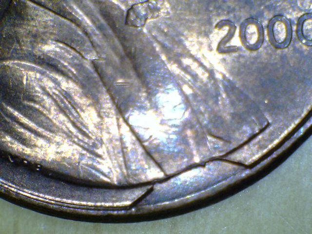 My-Cuds-To-Date