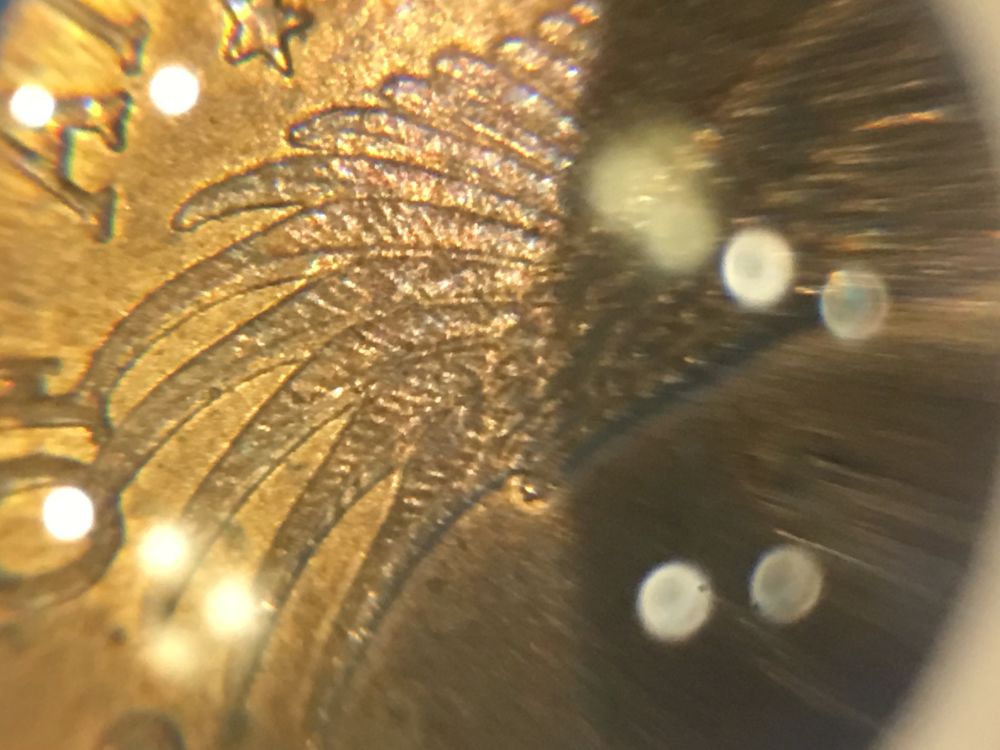 2000-P-Cheerio-Dollar?