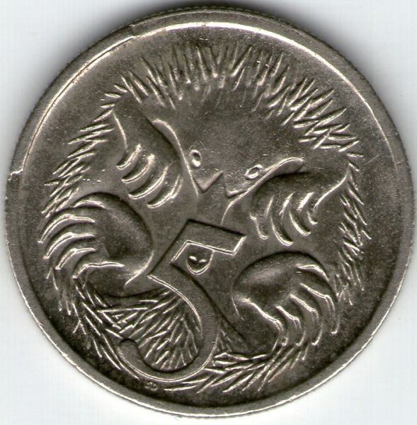 Noodling-Find-Of-The-Week?