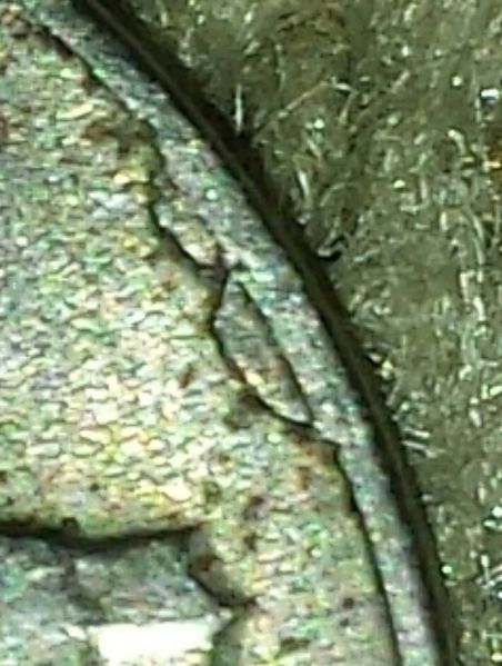 Jefferson-Nickel-Die-Cud?