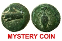 Need-Help-Identifying