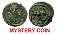 Need-Help-Identifying