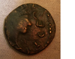 Need-Help-Identifying