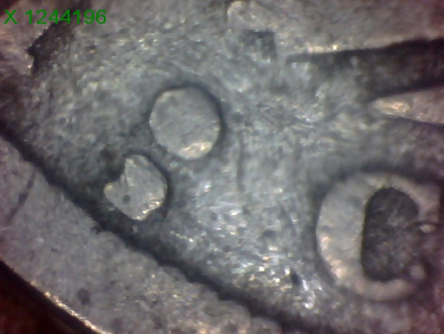 Is-This-A-1912-D-Or-1912-S-V-Nickel?