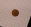 Mule-Dime-And-Penny-Of-2-Tails